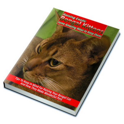 Product picture Exotic Bengals As Pets And Some  Amazing Ways To Keep Them!